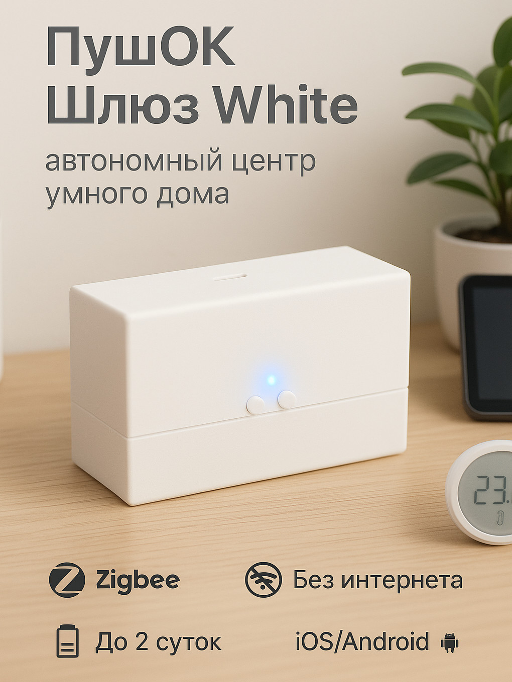 ПушОк POK100 White