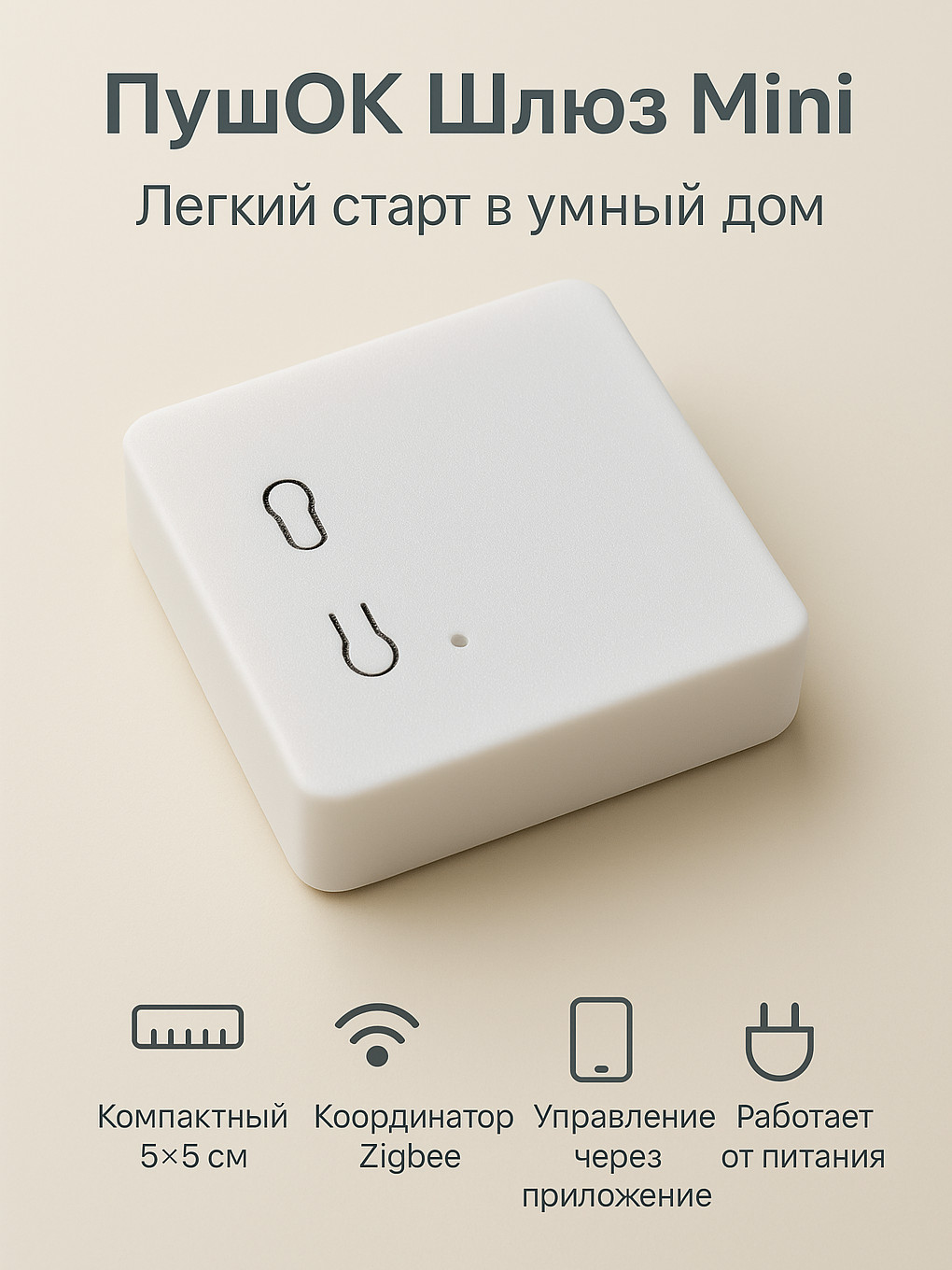 ПушОк POK101 Mini