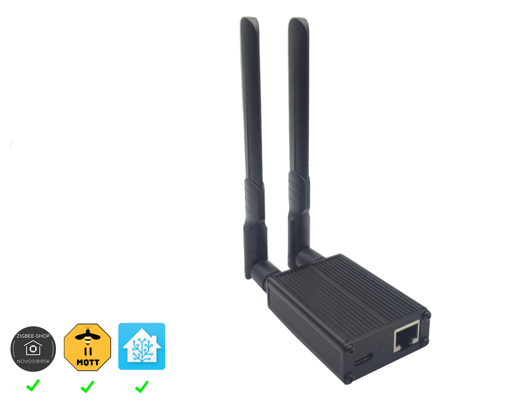 Сетевой координатор ZS-EHT с двумя антеннами и Ethernet