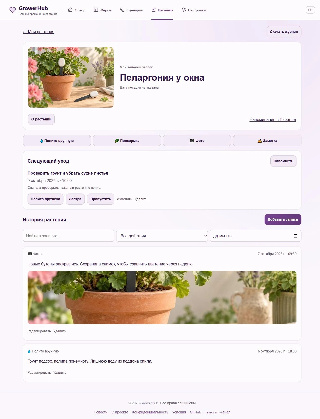 Растение, ближайшее дело и история ухода